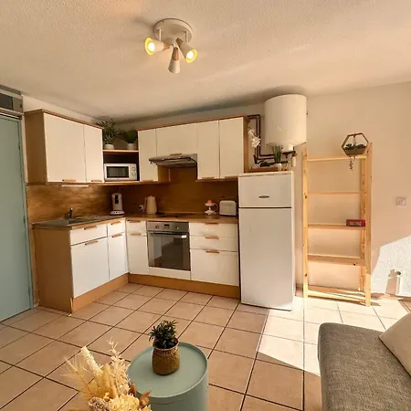 Apartment Le Catamaran - Proche De La Avec Terrasse Le Grau-du-Roi
