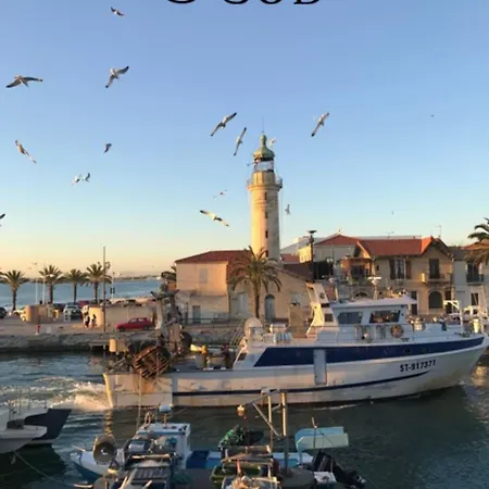 شقة Le Catamaran - Proche De La Avec Terrasse